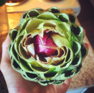 Artichoke