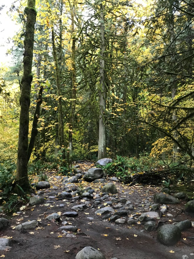 lynn canyon hike 4