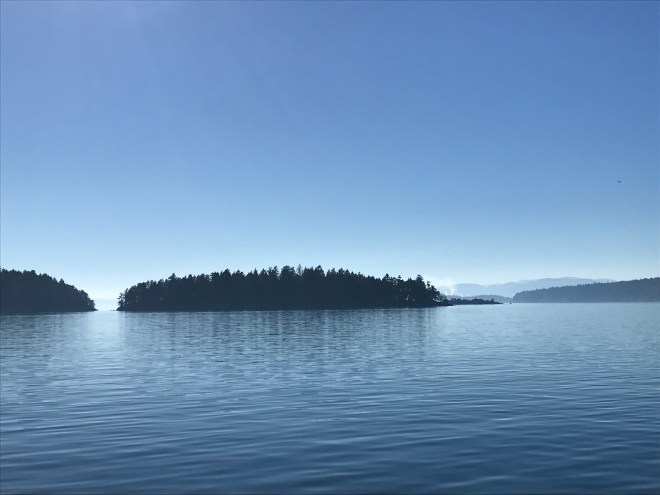 whale watching 2.jpg